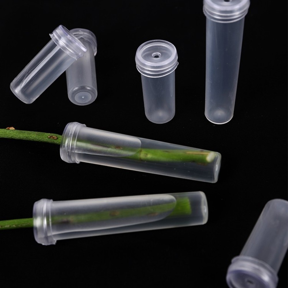 Florist Supply Wholesale - Fiale di Acqua Floreale a Lunga