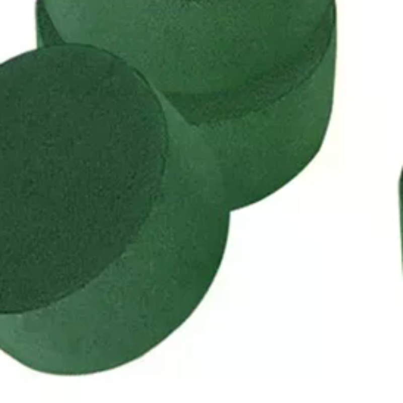 Cilindri di schiuma floreale O - Floral Foam Oasis recensione e prezzo